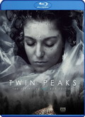 Twin Peaks: The Missing Pieces Temporada 1 [720p]